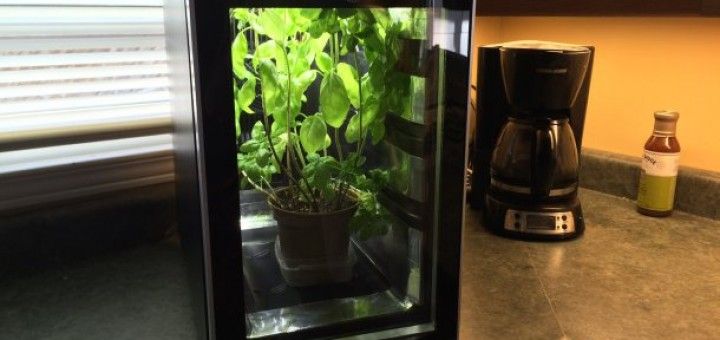 Arduino te ayuda a crear un invernadero para tu cocina