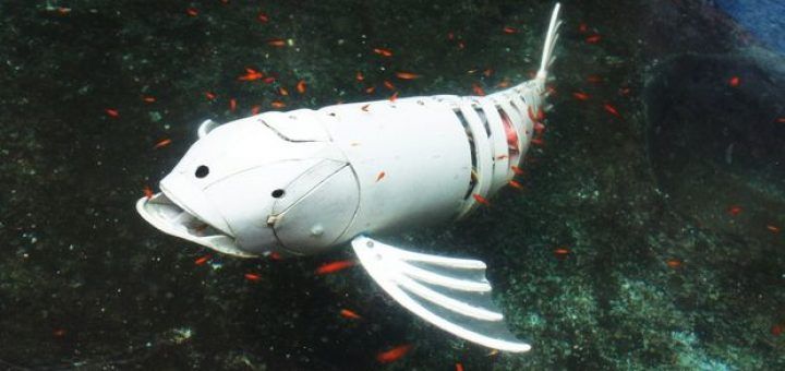 pez robot