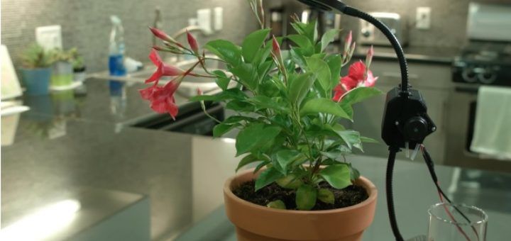 construir un jardín