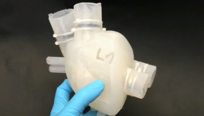 3d printed organs heart eth zurich - Bioimpresión en 3D, 6 órganos y proyectos impresos en 3D